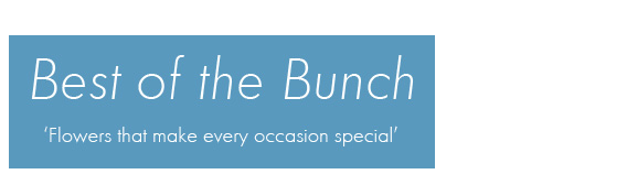 Best of the Bunch florist in Deeside - delivering flowers in Deeside and Shotton